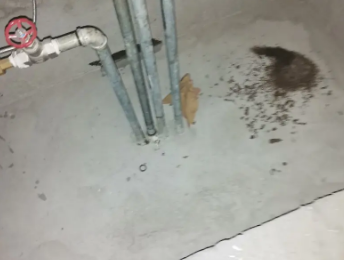 永济卫生间测漏水价格明细